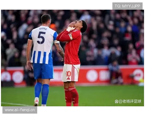 布莱顿整体实力持续提升，本赛季表现稳健