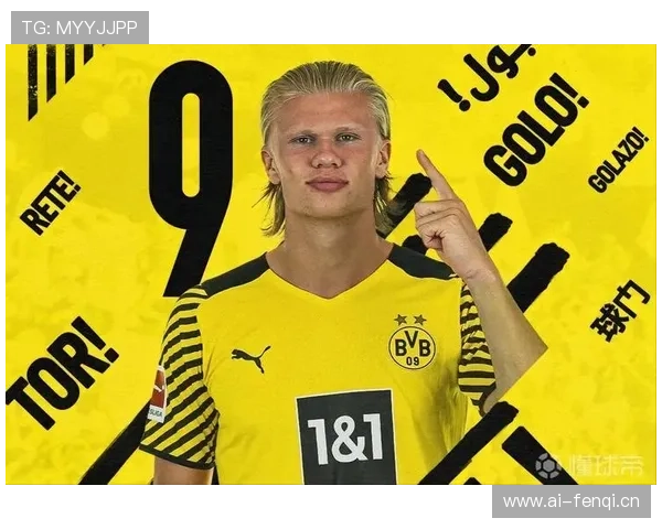 哈兰德全能属性与纯终结者结构差异解析